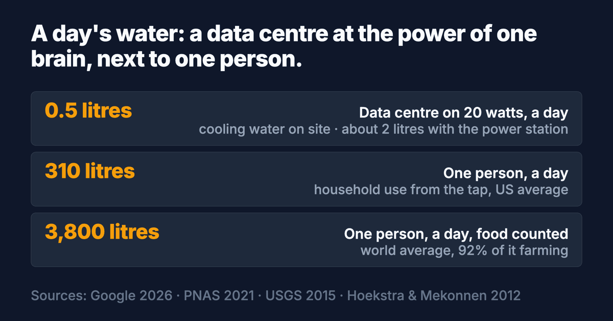 Card headed 'A day's water: a data centre at the power of one brain, next to one person', with three rows: 0.5 litres for a data centre on 20 watts for a day (cooling water on site, about 2 litres with the power station); 310 litres for one person's household use from the tap, US average; 3,800 litres for one person with food counted, world average, 92 per cent of it farming. Sources: Google 2026, PNAS 2021, USGS 2015, Hoekstra and Mekonnen 2012.